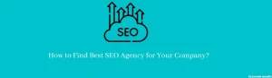 Best SEO Agency for Your Company